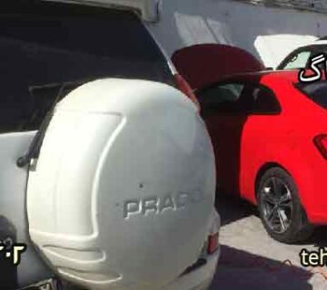 تعمرگاه مکانیکی